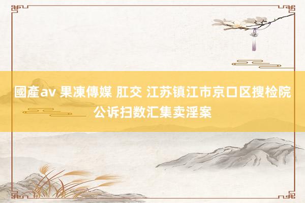 國產av 果凍傳媒 肛交 江苏镇江市京口区搜检院公诉扫数汇集卖淫案