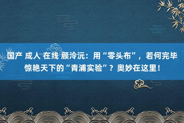 国产 成人 在线 顾泠沅：用“零头布”，若何完毕惊艳天下的“青浦实验”？奥妙在这里！