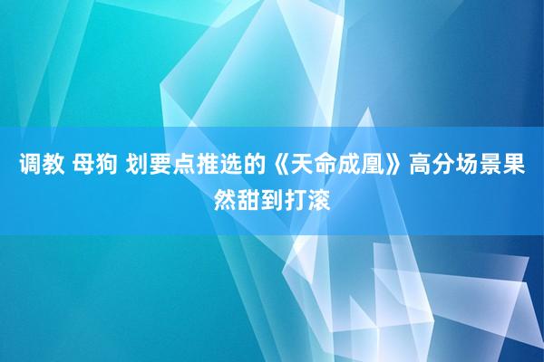 调教 母狗 划要点推选的《天命成凰》高分场景果然甜到打滚