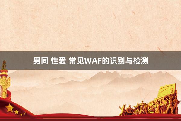 男同 性愛 常见WAF的识别与检测