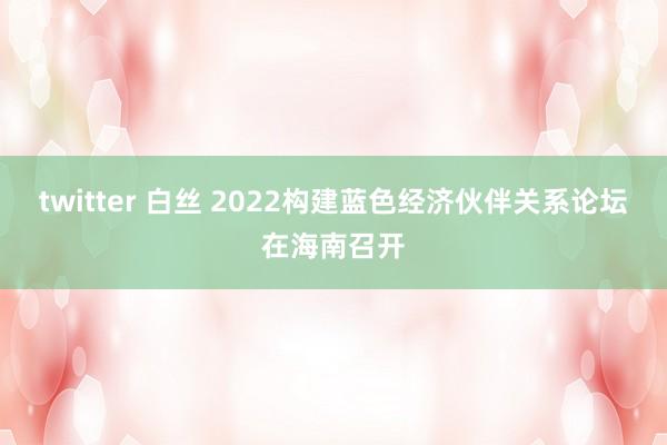 twitter 白丝 2022构建蓝色经济伙伴关系论坛在海南召开