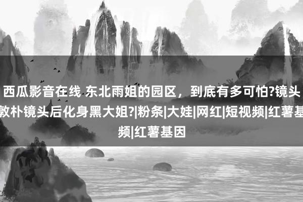 西瓜影音在线 东北雨姐的园区，到底有多可怕?镜头前敦朴镜头后化身黑大姐?|粉条|大娃|网红|短视频|红薯基因