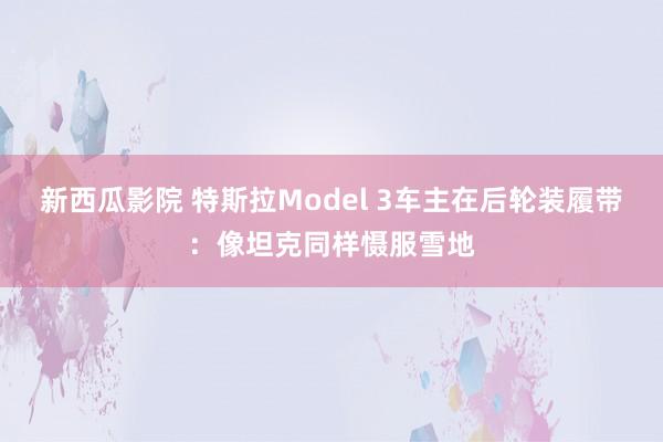 新西瓜影院 特斯拉Model 3车主在后轮装履带：像坦克同样慑服雪地