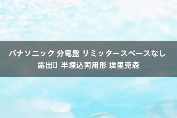 パナソニック 分電盤 リミッタースペースなし 露出・半埋込両用形 埃里克森