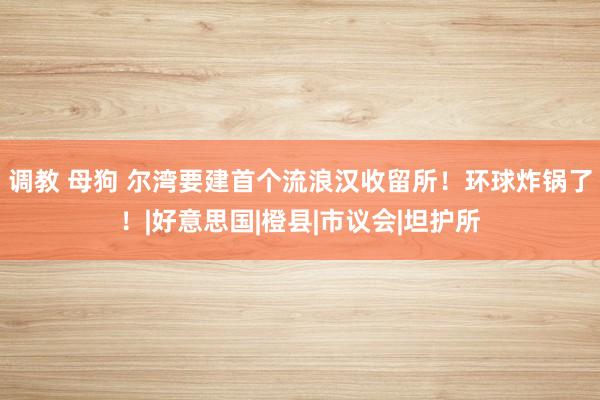 调教 母狗 尔湾要建首个流浪汉收留所！环球炸锅了！|好意思国|橙县|市议会|坦护所