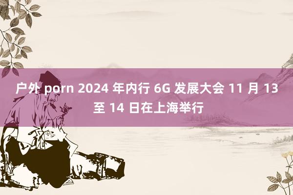 户外 porn 2024 年内行 6G 发展大会 11 月 13 至 14 日在上海举行