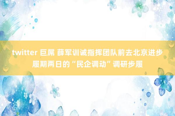 twitter 巨屌 薛军训诫指挥团队前去北京进步履期两日的“民企调动”调研步履