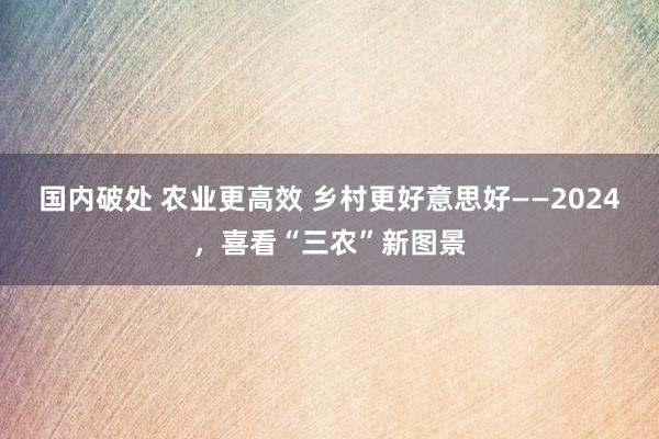 国内破处 农业更高效 乡村更好意思好——2024，喜看“三农”新图景